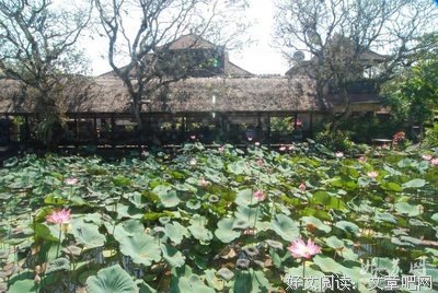 《一生孤注掷温柔》经典的句子