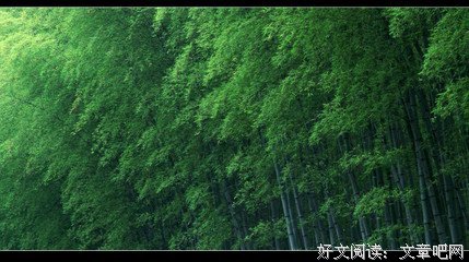 最经典的《你是最好的自己》经典的句子
