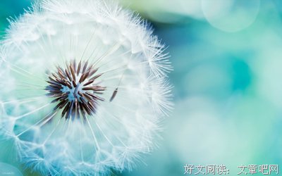最经典的《幸福的七种颜色》唯美语录