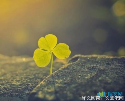《彼岸青春此岸花》小说摘抄大全