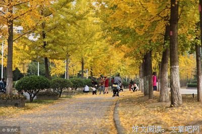 《恨不相逢未剃时》佳句摘抄大全