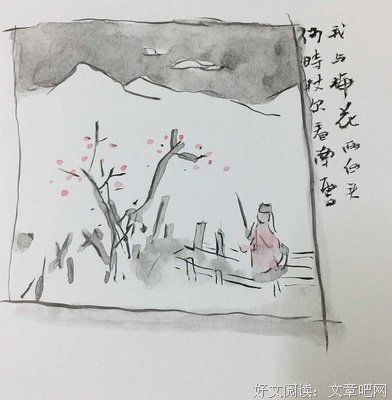 最新的《我与梅花两白头》语录摘抄