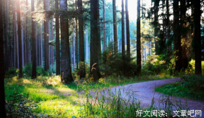 最全的《我所理解的生活》经典的句子