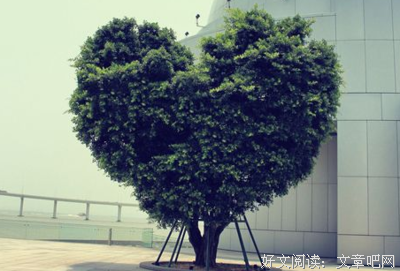 最经典的《把时间当作朋友》经典语句大全