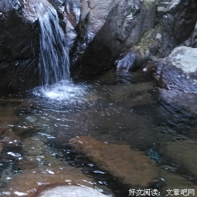 最全的《没有水没有月亮》经典的句子