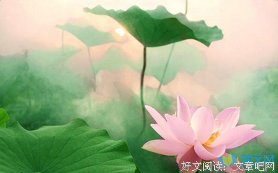 《灵性深处开莲花》美文美句大全