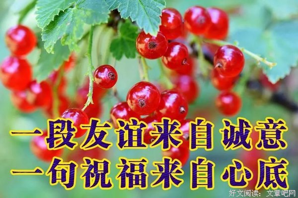 最新的《重生之何以非凡》小说句子大全