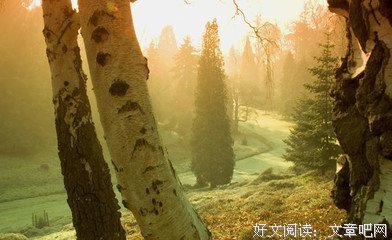 15条关于埃文的经典语句