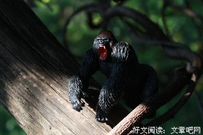 大飞的名句_关于大飞的名句