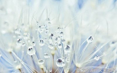 关于不幸名言名句