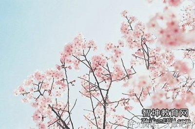 极爱的句子