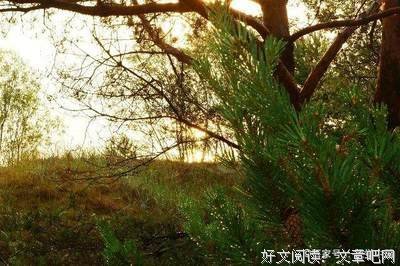 漫漫经典的句子