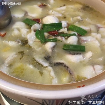 2018野象小姐的名言