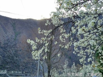 金川诗歌名言警句