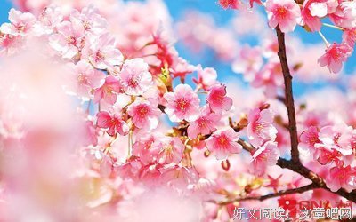 最新的韶华千斛的名言名句