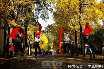 关于香龙血树名言