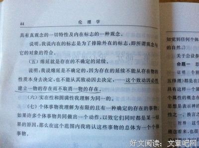 有关斯宾诺莎精彩语录
