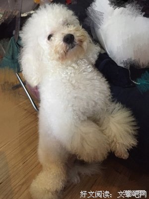 时间就是用来犯错的