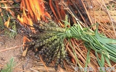 多想回到从前！
