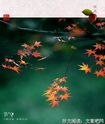 2018秋容胡酒名言大全