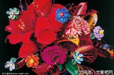 荒木经惟名言大全