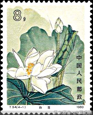 莲花郎面名言名句