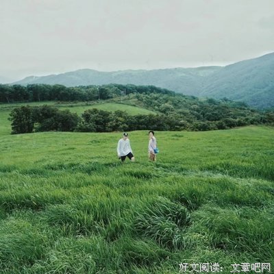 识路高手 ｜讽刺故事
