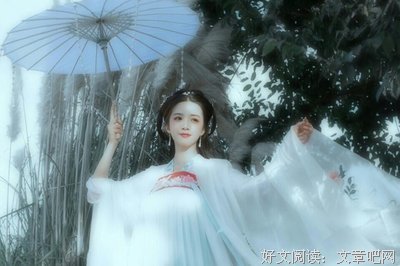 最全的《情到深处不怕孤独》小说句子大全