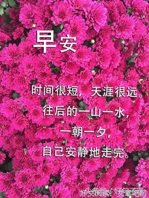 最新的《岁月静好 现世安稳》经典句子