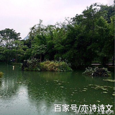 最经典的《不能承受的生命之轻》语录摘抄