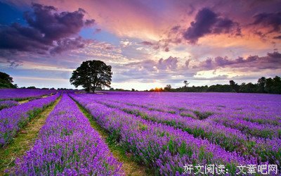 那些曾经自卑的人，后来怎样了？
