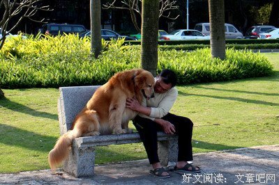 最全的《人类简史：从动物到上帝》经典名句大全