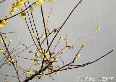 恋爱后失去了新鲜感怎么办？