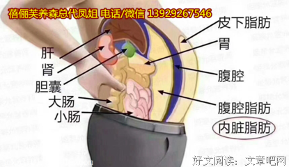 肥胖的名句_关于肥胖的名句