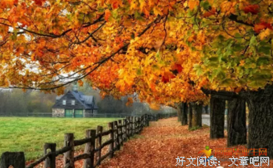 红来的句子