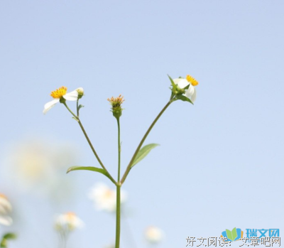 不容乐观的名句_关于不容乐观的名句