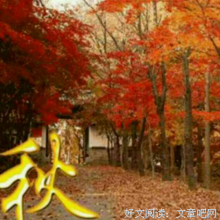 绮琴格言警句