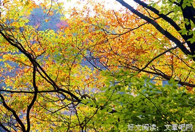 醉秋色句子大全