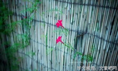 古们不年水的人性名句欣赏