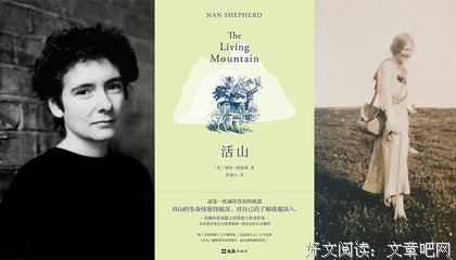 珍妮特·温特森的格言