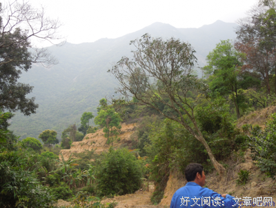 最全的《蜜糖小青梅：傲娇竹钟，宠上瘾》小说书摘