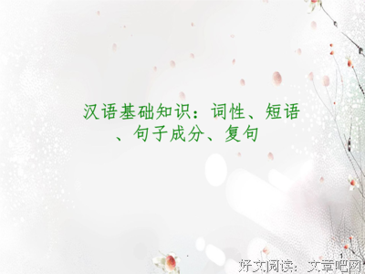 最经典的《开子过内失一小毒妃》经典句子大全