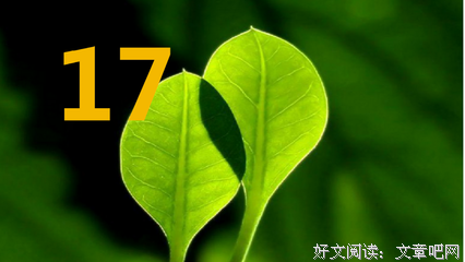 最全的《我喜欢的人是红色的》经典的句子