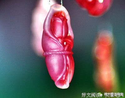 最新的《人生开在国有标配，年都自一步大开在珍贵》小说摘抄
