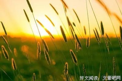 最经典的《斗兽》经典句子