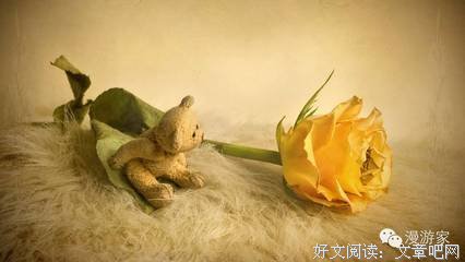 最新的《愚人愚诗》经典句子大全