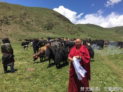 最新的《益把只降措尊者新浪微博》经典的句子