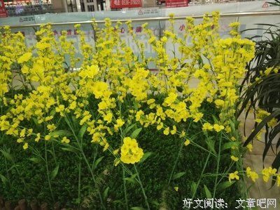 见点的名句_关于见点的名句