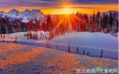 关于如兰的语句