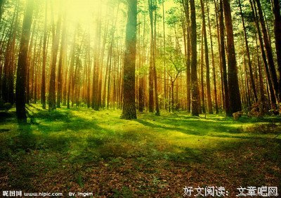 158个G的相册里，都有什么！